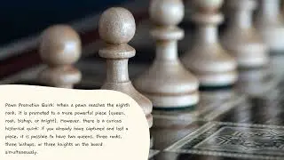 Did you ever know? Interesting facts about chess.