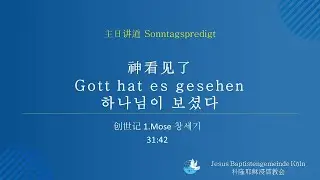 神看见了Gott hat es gesehen