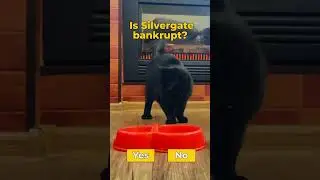 Doom Cat: Is Silvergate bankrupt?