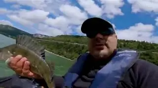 P&ecirc;che aux carnassiers - Sylans - 18 juin 2020