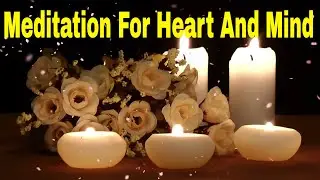 Meditation For Heart And Mind | Experience True Harmony