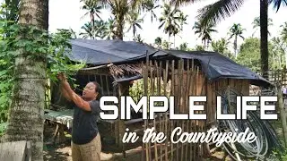 SIMPLE LIFE in the Farm | LIFE IN THE COUNTRYSIDE 