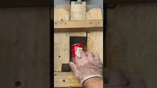 Stress-Relief Can Show!  shorts#cancrushing#satisfying#DIY#energy