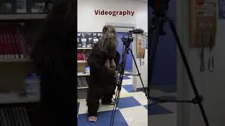 What Do You Do in Digital Media?