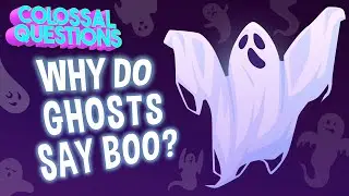 👻 Why Do Ghosts Say 