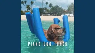 Serene Piano for Stressed Dogs