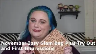 November 2019 Ipsy Glam Bag Plus Tryout and First Impressions