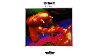 Software - Software Visions