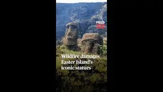 WATCH: Wildfire damages Easter Island&rsquo;s iconic statues | #shorts