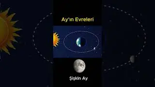 Ay'ın Evreleri