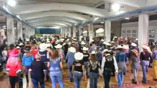 RENEGADE COUNTRY FESTIVAL 2015