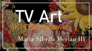 4K HD Elegant Real Art TV Screensaver: Maria Sibylla Merian - III - 1.43 H, No Sound, No AI