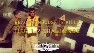 Blackmongoose kills 13 in the Tier 1-2 challenge using the magnificent BF109