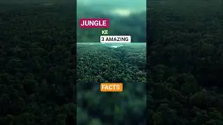 Jungle Ke 3 Hairan Karne Wale Facts 🌳😮
