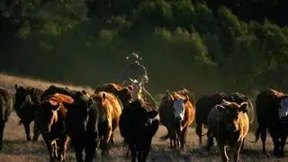 Inside the gates of a media tycoon's private ranch