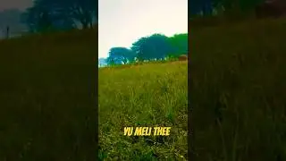 mane vafa tare saath ke #song #youtubesearch #entertament #browsefeaturs #browsefeaturs