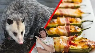 I Made Possum Poppers! (Catch Clean Cook)