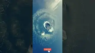 Amazing Big Whales Life |Photography #bigwhales #whaleslife #naturelife #101worldnature #animallife