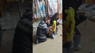 Velacion en honor a la Virgen de Guadalupe 2026