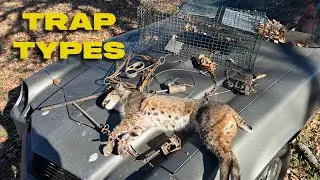 Types of Animal Traps and How To Use Them