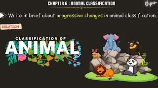 Write in brief about progressive changes in animal classification | SSC Maharashtra state board