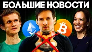 Hamster Kombat Листинга Не Будет! Дебют Ethereum ETF! Трамп Против Харрис! Биткоин Конференция 2024