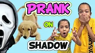 PRANK ON SHADOW 😈😱😁😂 | Family Fun | Pet Lover | Family Vlog | Aayu and Vanu