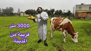 حياة البادية🌿ارض فلاحية قريبة بزاف من المدينة جات فموقع زوين وكلشي قريب ليها
