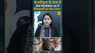 केजरीवाल के केस में फंस गई ममता, ED ने गिरफ्तारी का केस ठोका! #shorts #short