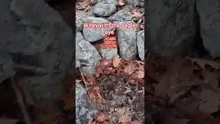 Finding the Brick in a rock pile @chrisbee11