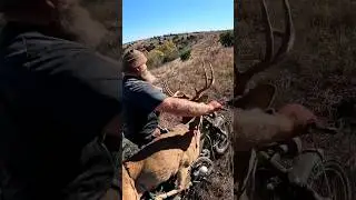 Epic deer pack out on the old school trail 90 !!!