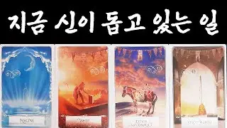 [타로/운세] 🙏지금 신이 돕고 있는 일💕