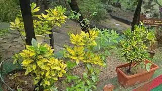 Amba Pani Eco tourism site