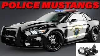 POLICE Mustangs!