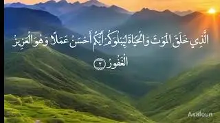 SURAH mulk/copyright free Quran/Quran reaction tilawat @Hidayat.studio786 