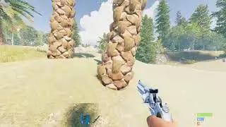 Python revolver to Sar in 10 seconds in Rust
