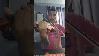 Prueba violin Distele PRO - Guardian