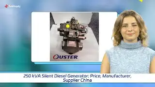 250 kVA Silent Diesel Generator: Price, Manufacturer, Supplier China