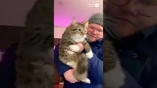 Приключения Тохи сериал!