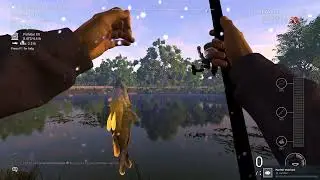 LETS GO FISHING ! WITH FISHING PLANET