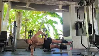 Copenhagen Plank Dips - on elbow - shin level