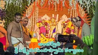 శ్రీ లక్ష్మీనరసింహస్వామి వారి కళ్యాణం అంతర్వేది #trending #konasema #lakshminarasimhaswamy 