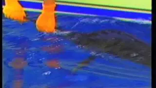 Costa Rica Sailfish