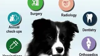 Animal Orthopedics in Kersey CO | Powell Veterinary Service