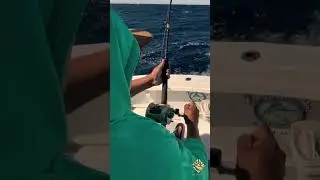 Fishing trip in Los Cabos // All in one Cabo company