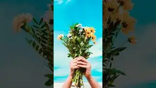 Who likes flowers? Flower photography #flowers #flower #capcut  #flowervideos #flowervideo
