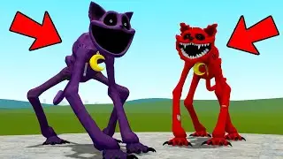 I FOUND MYSTERY CATNAP FOR POPPY PLAYTIME In Garry's Mod!