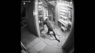 Chimpanzee Caught on CCTV Camera | Shocking Footage in Market#Chimpanzee #CCTV #ViralVideo #Shocking