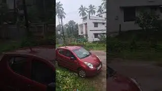 #reels #familyholiday #qatarreels #keralareels #tamilreels