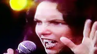 sandra mihanovich- 